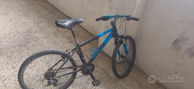bici uomo blu