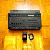 Modulo Roland RA90 del 1995 con spedizione inclusa