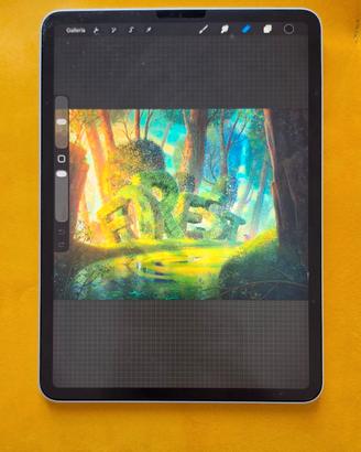 Ipad pro 11"