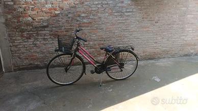 bicicletta donna Casadei