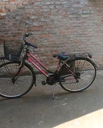 bicicletta donna Casadei
