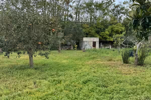 Terreno con pozzo e casette