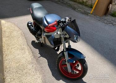 gilera dna