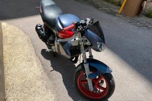 gilera dna