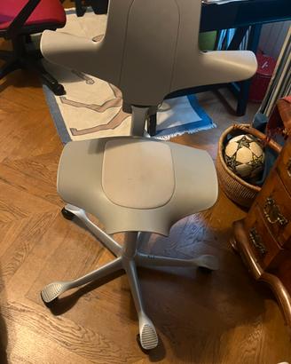 Sedia ergonomiche Hag Capisco