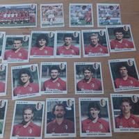Lotto Torino 1991 92 Completo