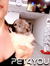 cuccioli-di-taglia-molto-piccola-anche-a-rate