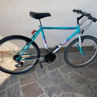 Bicicletta