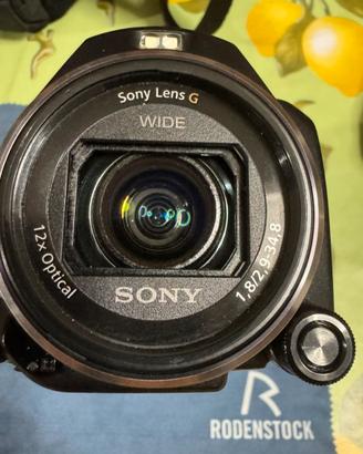 Sony Handycam HDR-PJ810