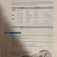Insegnante di Greco e Latino