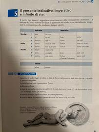Insegnante di Greco e Latino
