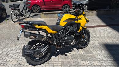 Trk 502 x