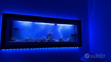 Acquario da parete