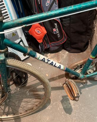 Atala vintage