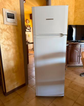 Frigo Liebherr