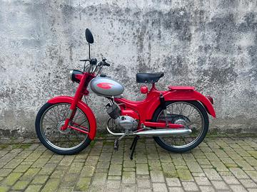 Motoguzzi Dingo
