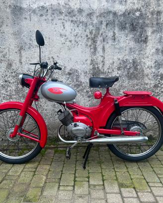 Motoguzzi Dingo