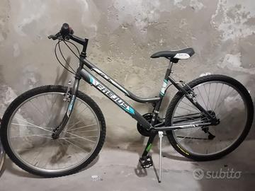 Bicicletta Frejus