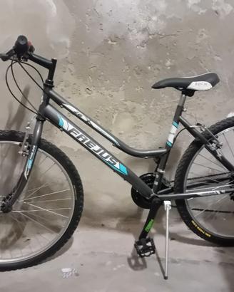 Bicicletta Frejus