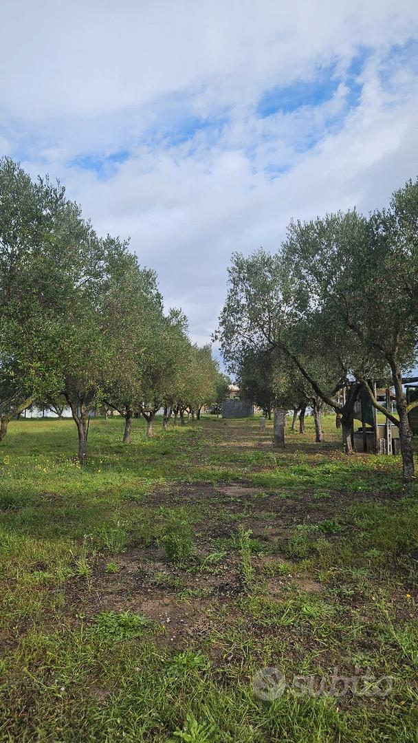 PRIVATO - Terreno Agricolo - San Felice a Circeo - Vista 4