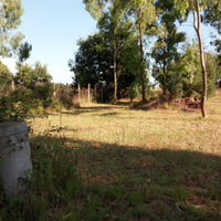 Sabaudia terreno agricolo