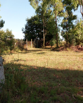 Sabaudia terreno agricolo