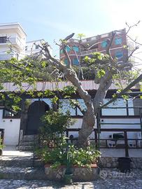 Villa singola 100 MQ - FRONTE MARE a S. MENAIO