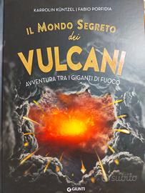 Libro Il mondo segreto dei vulcani