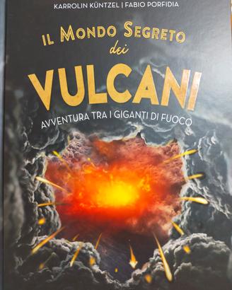 Libro Il mondo segreto dei vulcani