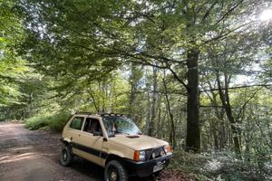 Fiat panda 4x4, 1000 a carburatori