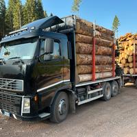 Camion tronchi legname
