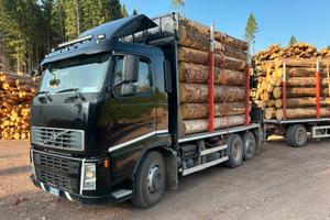 Camion tronchi legname