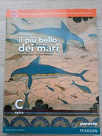 Libro: il più bello dei mari  epica C di P.Biglia