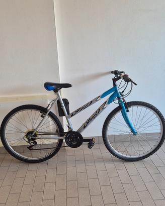 Mountain bike