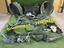 Immagine 3