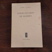 Libro "Eserciziario di Algebra" Ed. Palumbo