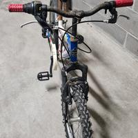 bici bimbo 20"