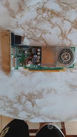 Scheda Video NVIDIA GeForce per PC HP