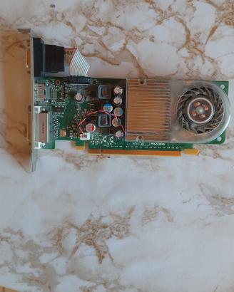 Scheda Video NVIDIA GeForce per PC HP