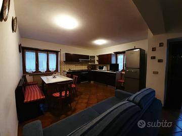 Ampio e luminoso appartamento a Cesuna