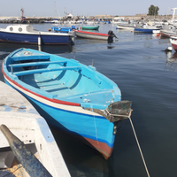 Barca gozzo rivestito