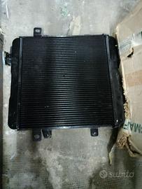 radiatore Fiat 124 special 1400 cc