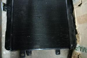 radiatore Fiat 124 special 1400 cc