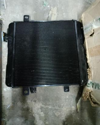 radiatore Fiat 124 special 1400 cc