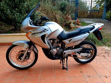 Transalp 650 xl