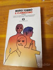 libro " il clandestino "