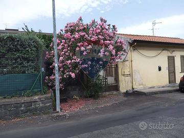 Casa Indipendente - Santa Venerina