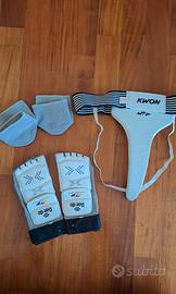 Protezioni combattimento taekwondo 