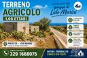 terreno-agricolo-con-due-casolari-lido-marini