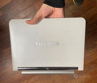 Toshiba NB200-110